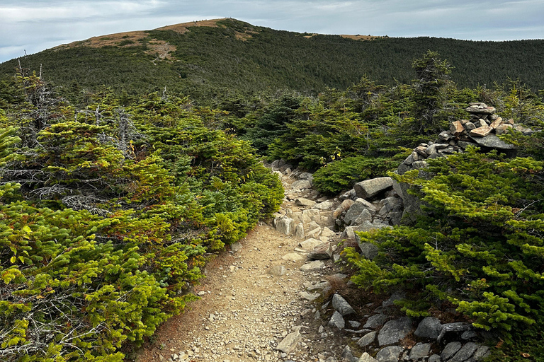 Boston: White Mountains 4.000-Fuß-Wanderung - Mount Moosilauke