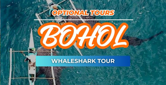 Bohol: Balicasag Island Dolphin Watching & Snorkeling Tour