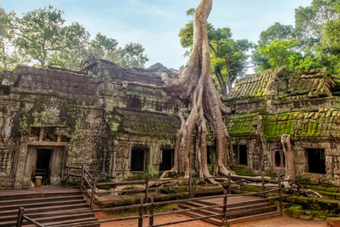 Recorridos de 3 días por la ciudad de Siem Reap y Phnom PenhExcursiones de 3 días: Siem Reap y Phnom Penh con Guía en Español