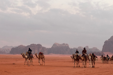 Experiencia en el desierto de Wadi Rum con todo incluido