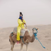 Marrakech Camel Quad Bike Tour with Sunset Dinner Show
