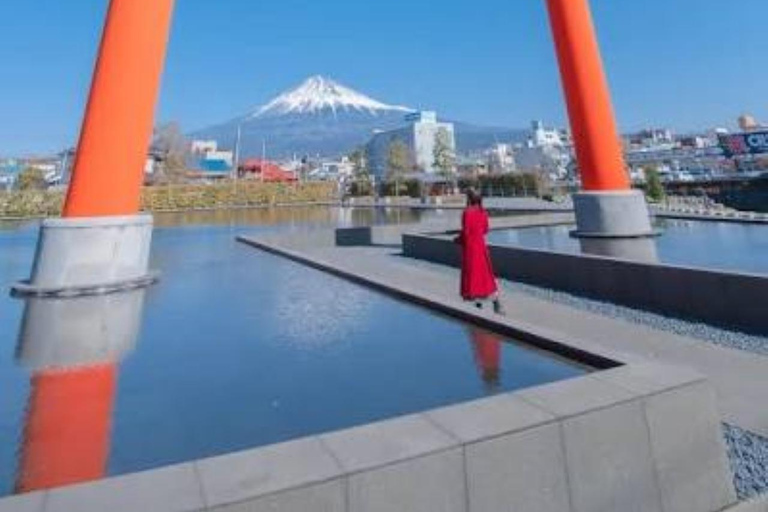 Tokyo:Mount Fuji Explorer Private Tour(Customised)With Guide