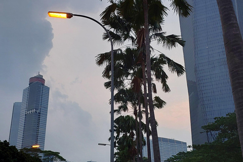 5 ore di guida e accompagnamento nel centro commerciale Grand Indonesia