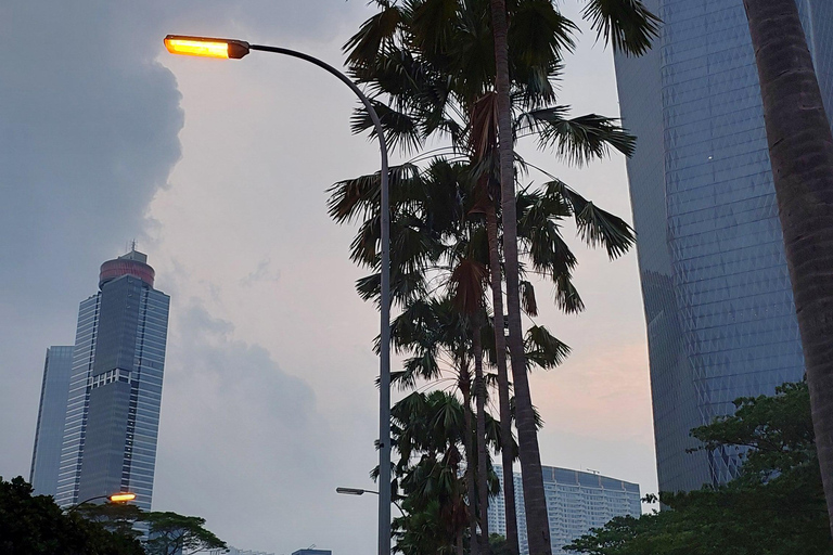 5 ore di guida e accompagnamento nel centro commerciale Grand Indonesia