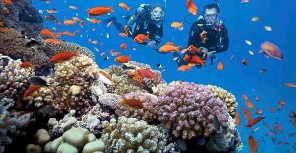 Nha Trang: Snorkeling at Marine Park and Enjoying Lunch