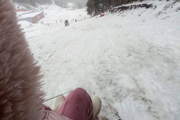 Bjelasica dla smakoszy i miłośników przyrody: lunch w cenie