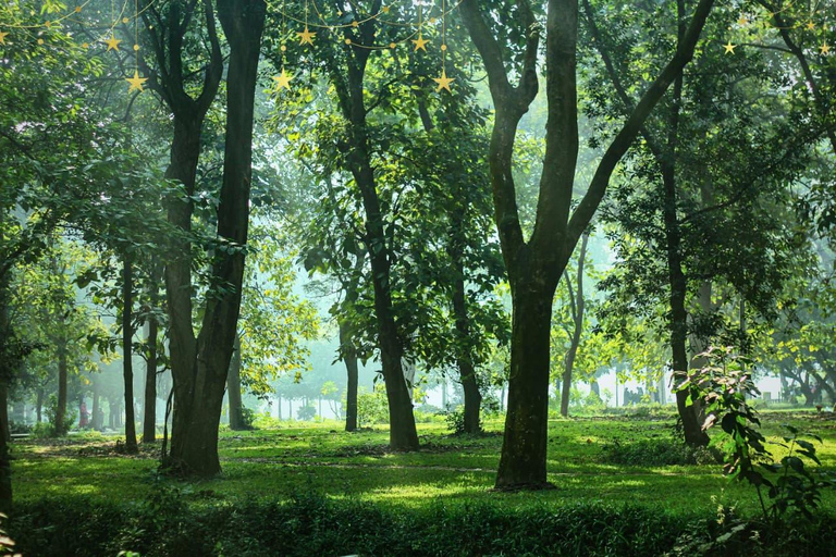 Baku: Guba and Gusar , Shahdag Tour with Roller Coaster Baku: Guba and Gusar , Shahdag Tour with Group