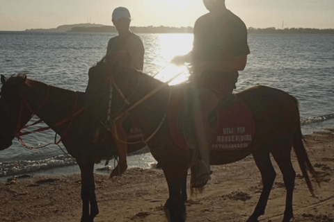 Gili Air: Aventura de 1 hora a caballo