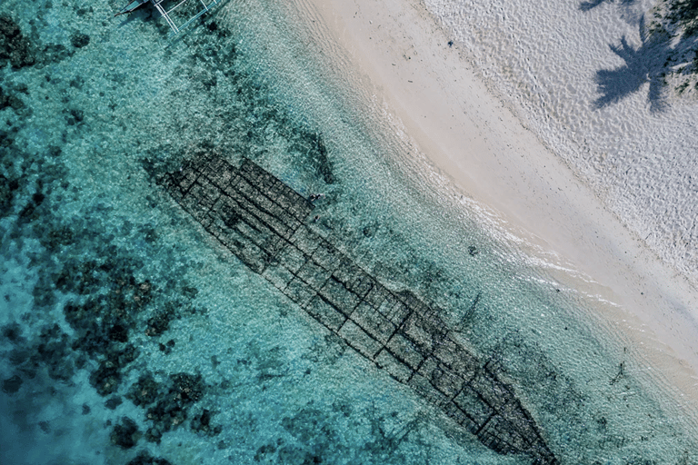 Coron: Private Speedboat to Black Island & Reef/Wrecks