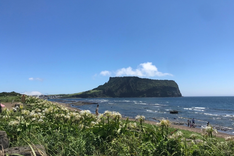 Die Insel Jeju: Van-Tour mit einem Guide, der JEJU am meisten liebt