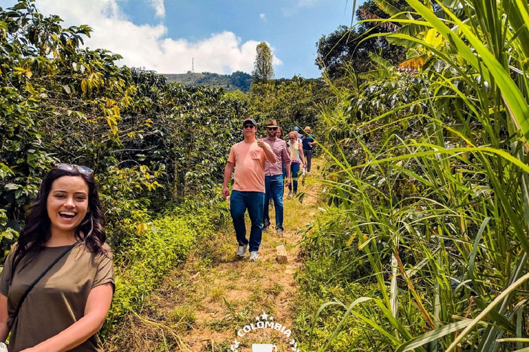 Medellín: Coffee Farm Tour with Tasting Experience