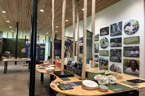 Kigali: 7-Day Safari, Wildlife Immersion, Big 5 to Gorillas