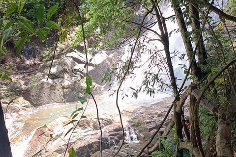 Sinharaja-Regenwald: Tour mit Wanderung zu 5 Wasserfällen