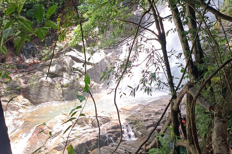 Sinharaja-Regenwald: Tour mit Wanderung zu 5 Wasserfällen