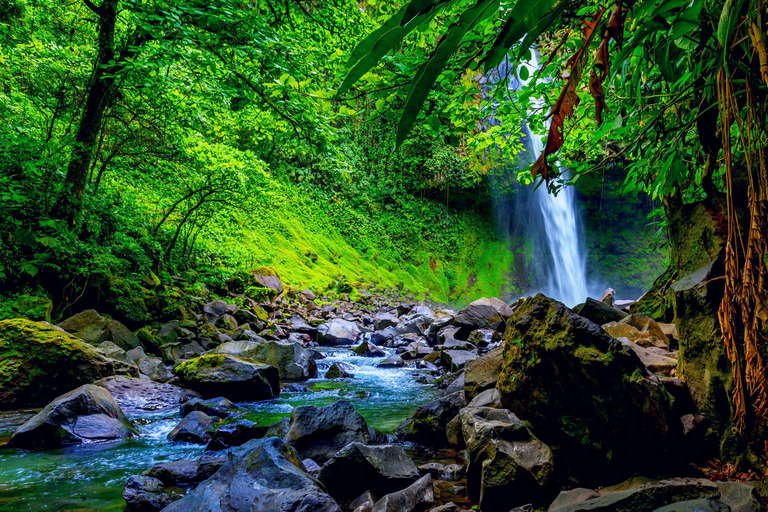 COSTA RICA:UPPTÄCK COSTARICAS VILDA DJUR-STRAND &amp; SKOG 2VECKOR