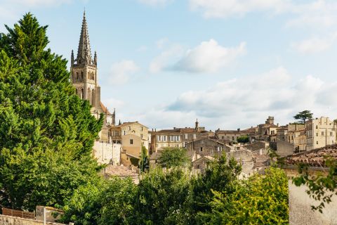 Van Bordeaux: Saint-Émilion-tour van een halve dag en wijnproeverij
