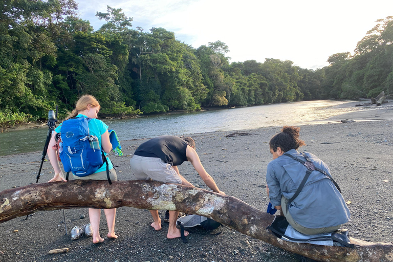 Corcovado nationalpark: Endagsutflykt från Puerto Jimenez!