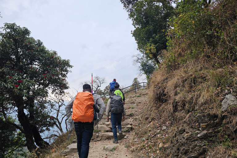Kathmandu: 2-Day Hidden Trek to Tangu with Mountain Views