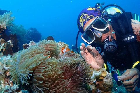 Jakarta: Dykning vid Thousand Islands Marine Park Dagsutflykt