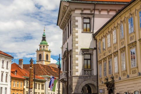 Ljubljana: 2,5 timmars vandring med lokal guide