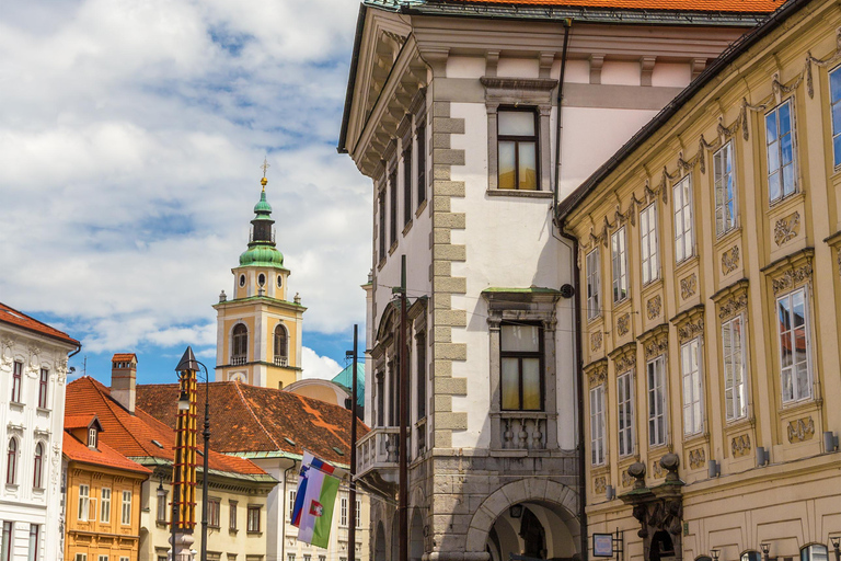 Ljubljana: 2,5 uur wandeltour met lokale gids