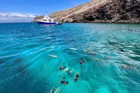 Santa Cruz and Isabela: 5-Day Sightseeing Tour with Pinzón, Tintoreras, and Sierra Negra