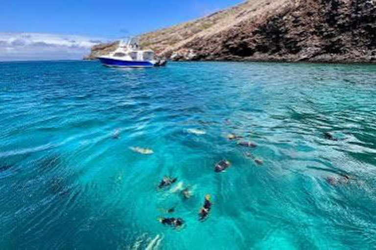 Santa Cruz and Isabela: 5-Day Sightseeing Tour with Pinzón, Tintoreras, and Sierra Negra