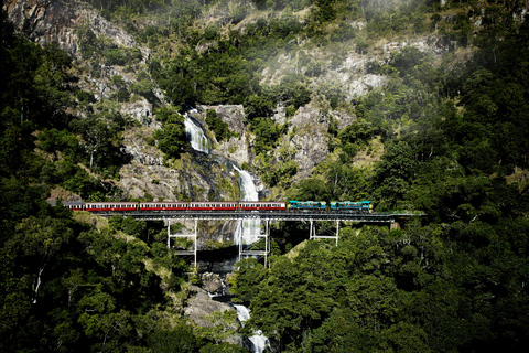 Cairns: Cattana Wetlands, Barron Falls e Kuranda RailwayPort Douglas: cascata, zone umide e Skyrail