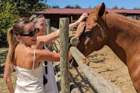 Tuscany Horseback Ride, Lunch, & Wine - Small Group From San Gimignano