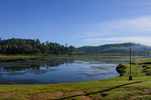 Kandy to Ella: Ramboda, Tea Factory & Nuwara Eliya Tour