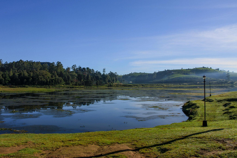 Kandy to Ella: Ramboda, Tea Factory & Nuwara Eliya Tour
