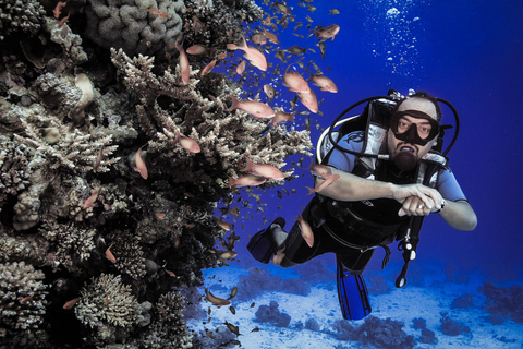 Hurghada: Two Scuba Diving in Hurghada Full Day Boat Trip Group or Family Up to 20 people