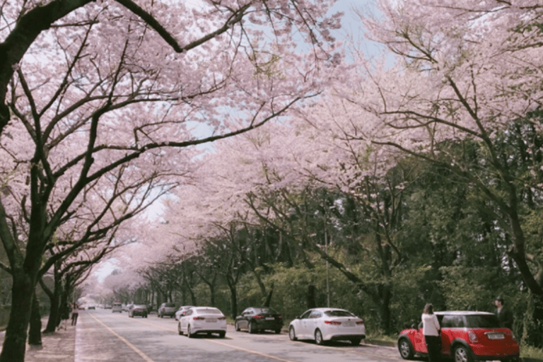 Jeju: Eastern UNESCO Sites Tour with Hotel Pickup