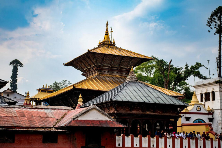 Kathmandu: Private Cultural and Heritage Day Tour