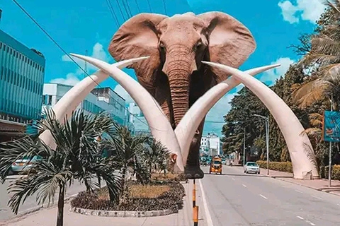 Mombasa: Tour a piedi della città con giro in Tuk Tuk.