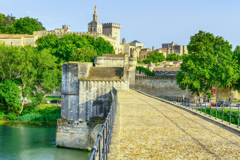 Avignon: Express promenad med en lokalbo på 60 minuter