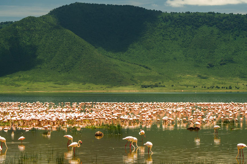 Sansibar: 4-tägige Safari-Reise zum atemberaubenden NatronseeAtemberaubende Lake Natron Safari Reise - Komfortable Unterkunft
