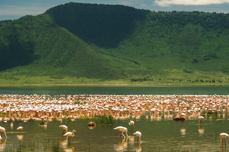 Sansibar: 4-tägige Safari-Reise zum atemberaubenden NatronseeAtemberaubende Lake Natron Safari Reise - Komfortable Unterkunft