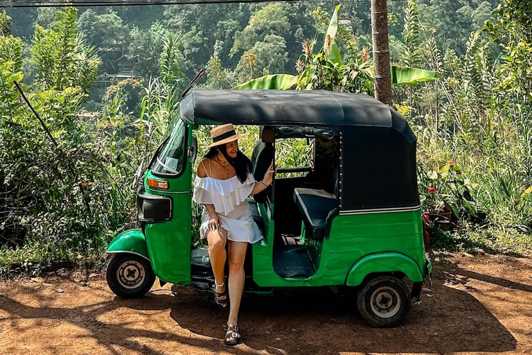 From Sigiriya: Sigiriya Lion Rock & Village Tour by Tuk Tuk