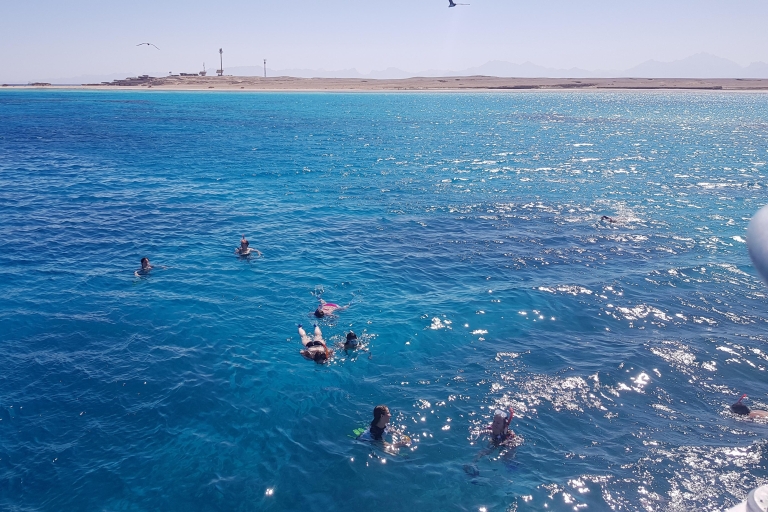 Marsa Alam : Croisière d'observation des dauphins avec snorkeling et déjeuner