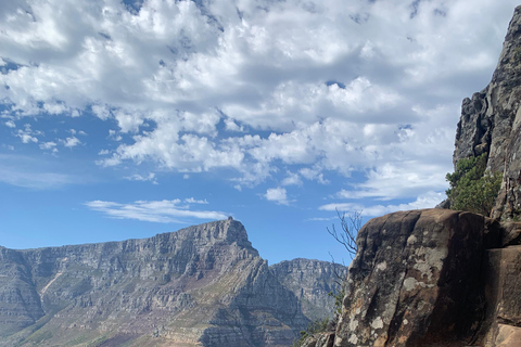 Cape Town: Lion's Head Guided Sunrise/Sunset Hike