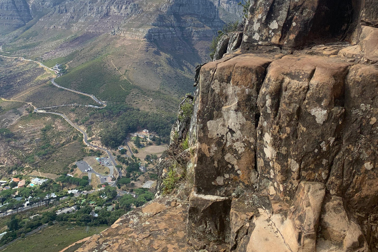 Cape Town: Lion's Head Guided Sunrise/Sunset Hike