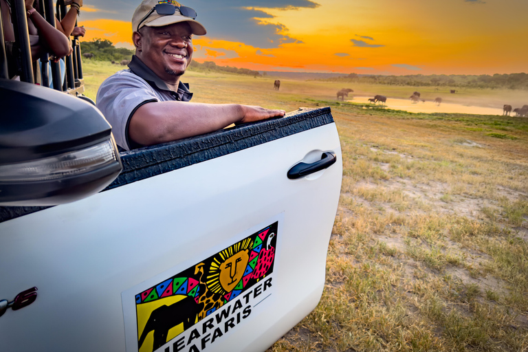 Cataratas Victoria: Safari por el Parque Nacional ZambezeSafari por la tarde