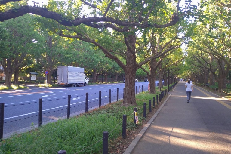 Volledig aanpasbare privé wandeltour in TokioVolledig aanpasbare privé wandeltour in Tokio (6 uur)