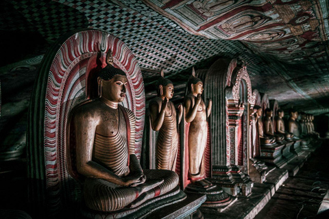 Kandy to Negombo: Sigiriya & Dambulla Day Trip