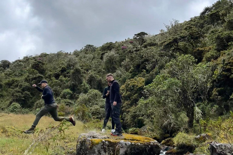 Bogota to Paramo Chingaza Hiking Through Majestic Landscapes