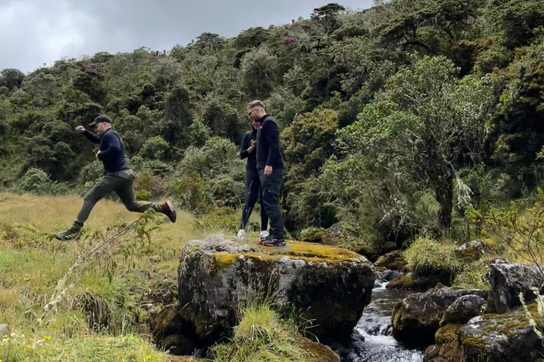 Bogota to Paramo Chingaza Hiking Through Majestic Landscapes