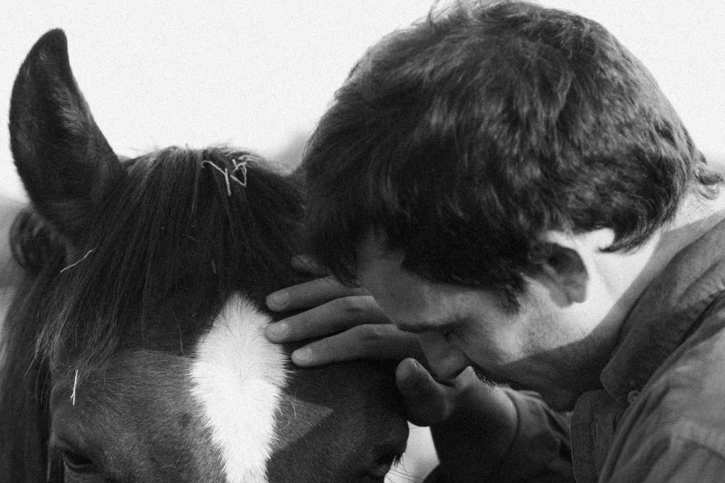 Experiential activity with horses: an experience in connection