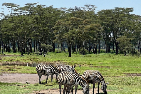 Nairobi: Lake Nakuru National Park and Lake Naivasha Tour