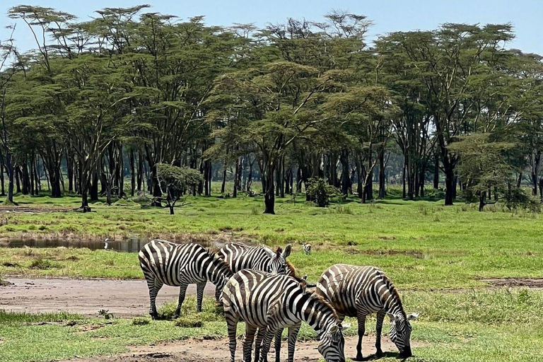 Nairobi: Lake Nakuru National Park and Lake Naivasha Tour